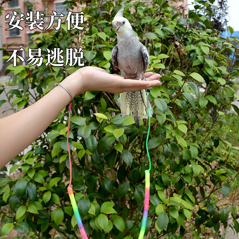 鹦鹉超轻放飞绳：解锁遛鸟新姿势，让玄凤虎皮牡丹自由飞翔！