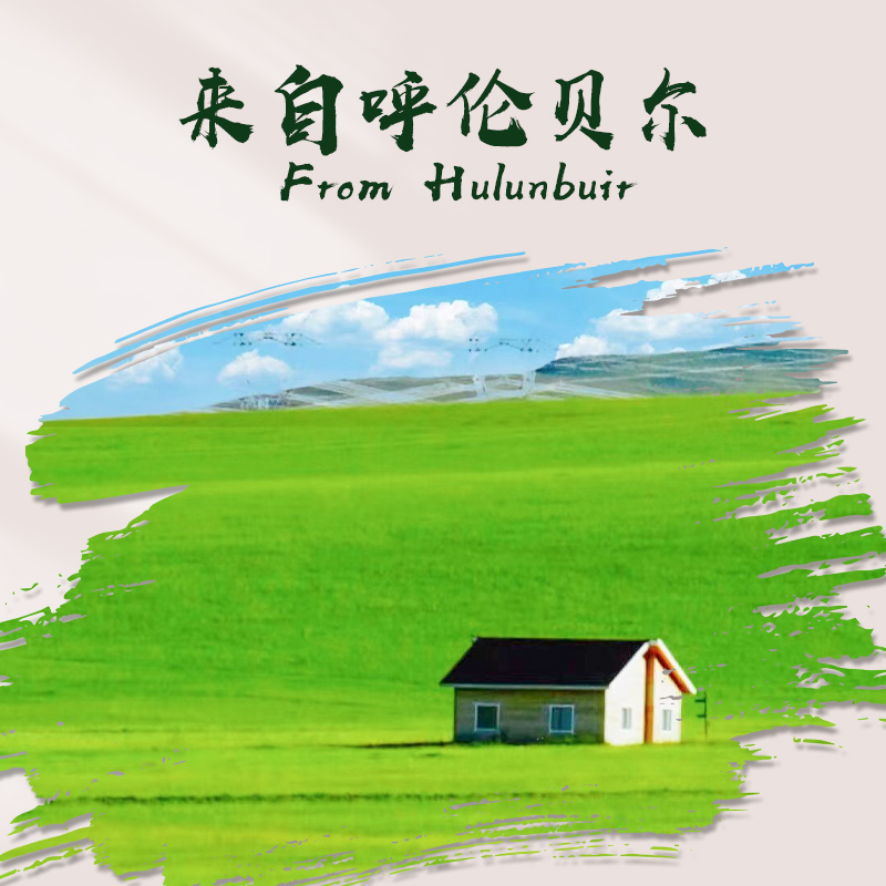 德系驾控新体验：大众家族前羊角牛腿大解析！