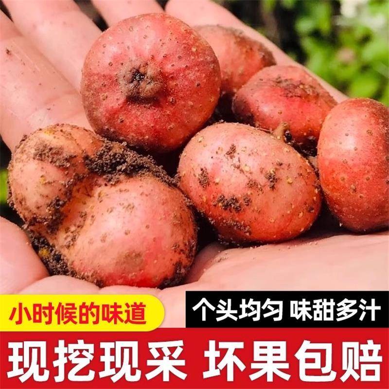 四川野地瓜果：童年的味道，顺丰直达的新鲜水果盛宴！