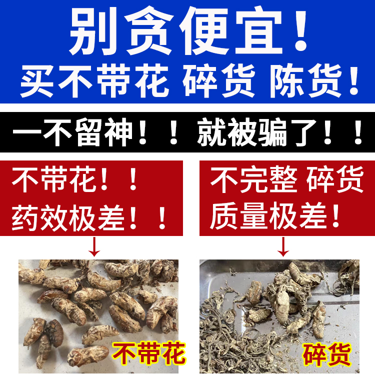 新货大别山金g正品蝉花虫草粉，野生金知了花，金蚕花，金蟾，你真的了解吗？