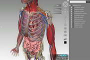 3DBody三维交互解剖软件6.0