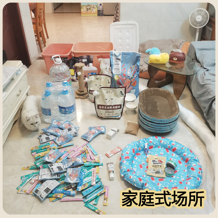 广州白云宠物寄养：节假日猫咪无忧寄养，家庭式服务，上门接送铲屎喂猫