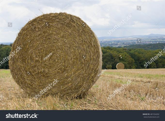 how many bales of hay are in a ton,Understanding the Unit Conversion