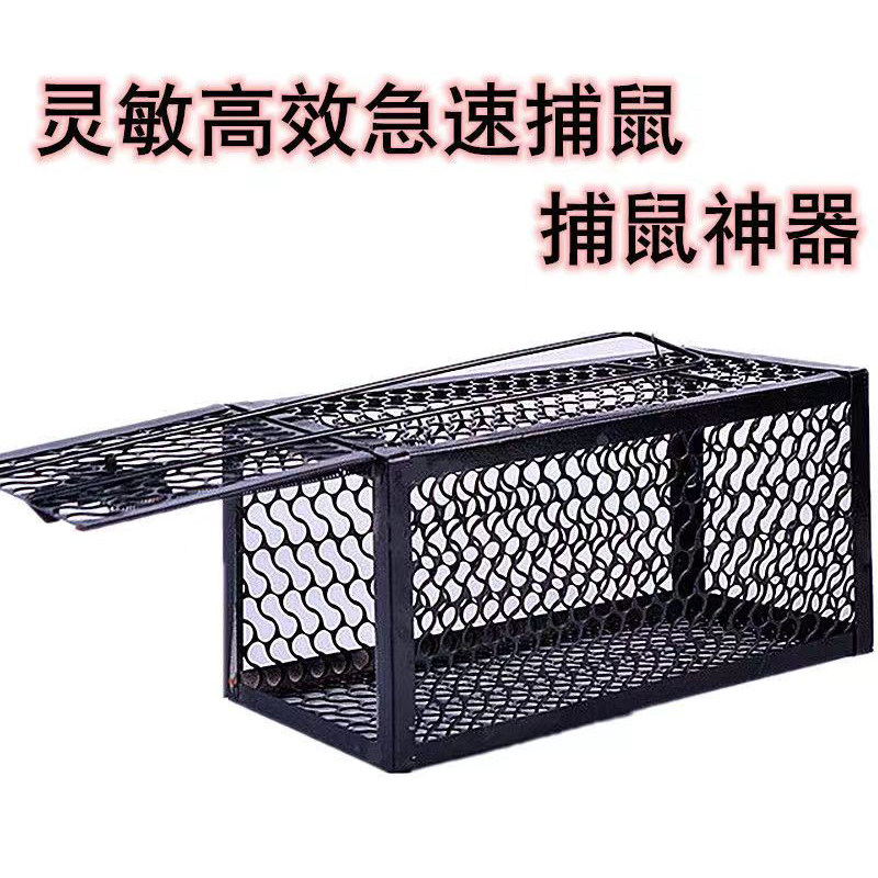 什么才是真正的"只进不出"？全自动老鼠笼捕鼠器如何有效捕鼠?