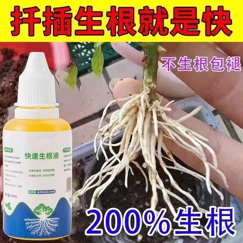 树木移栽生根剂：让每一棵植物都能茁壮成长