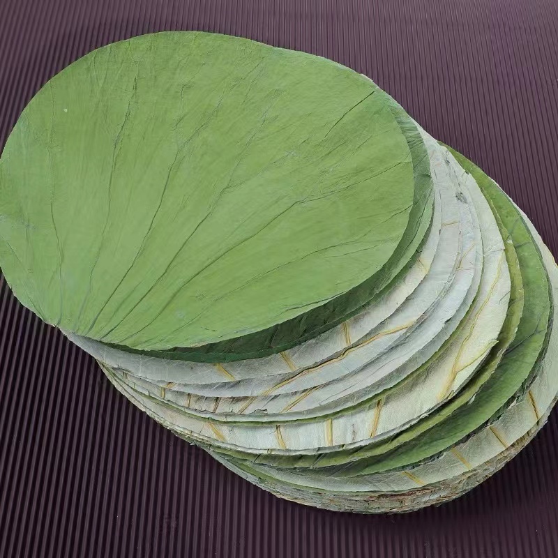干荷叶整张新鲜荷叶糯米鸡叫花鸡，500克荷叶茶，尝鲜必备！