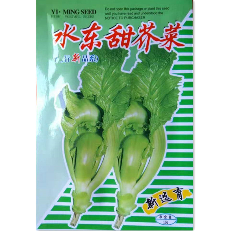 包邮蔬菜水东芥菜：快速生长的秘密武器，发芽率高的包心芥菜品种