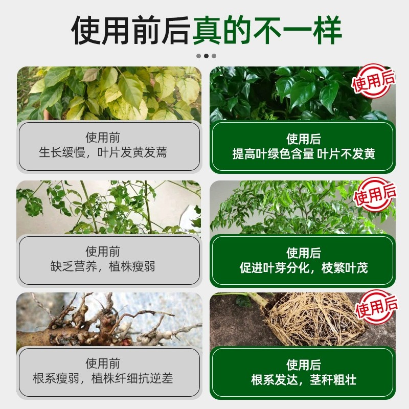 营养液植物通用型绿萝多肉僵苗黄叶急救水培养花卉绿植盆栽花肥料：拯救你的植物，让它们重获新生！