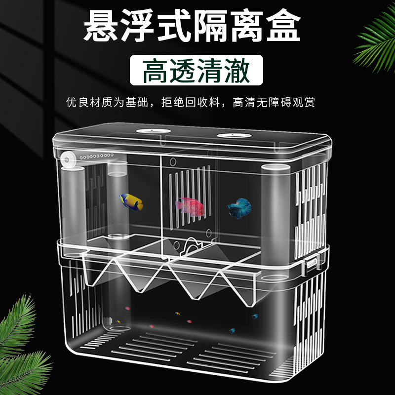 幻兽帕鲁的繁殖力如何?影响繁殖的因素有哪些?
