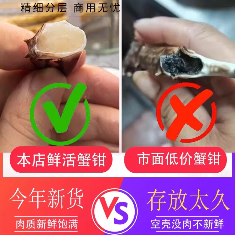 新鲜梭子蟹钳生腌生鲜螃蟹腿沙蟹脚海蟹钳飞蟹钳：海鲜盛宴，味蕾的极致享受！