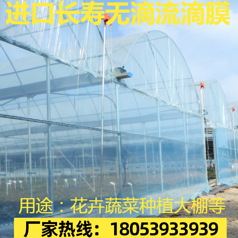 透明塑料大棚膜+加厚塑料布：农用薄膜界的全能战士，守护你的丰收梦！