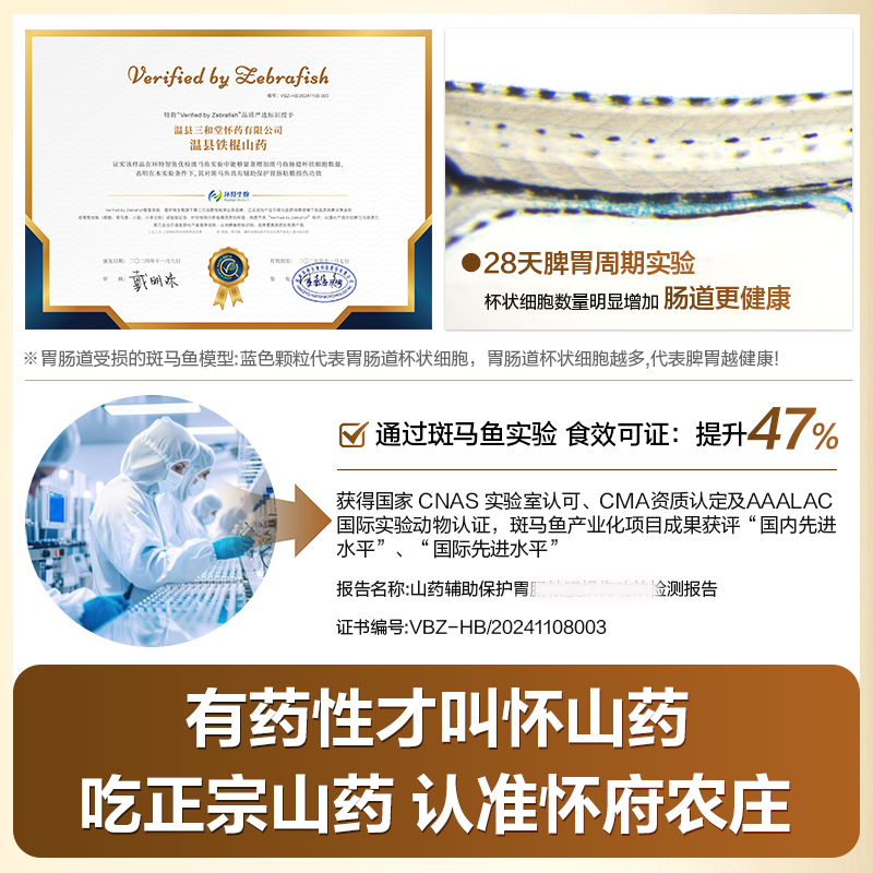 新鲜铁棍山药，温县特产，乌鸡土紫红皮，滋补养生的不二选择！