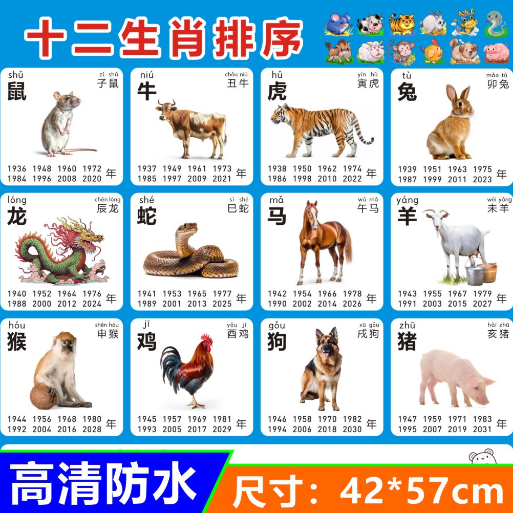 思源驾校挂图大揭秘：学车必备神器，轻松掌握驾驶技巧！