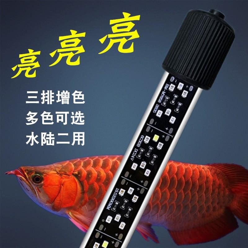 鱼缸灯LED防水灯：点亮水下世界的魔法钥匙！