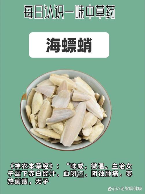 海螵蛸的功效与作用,海螵蛸的功效与作用的功能与主治