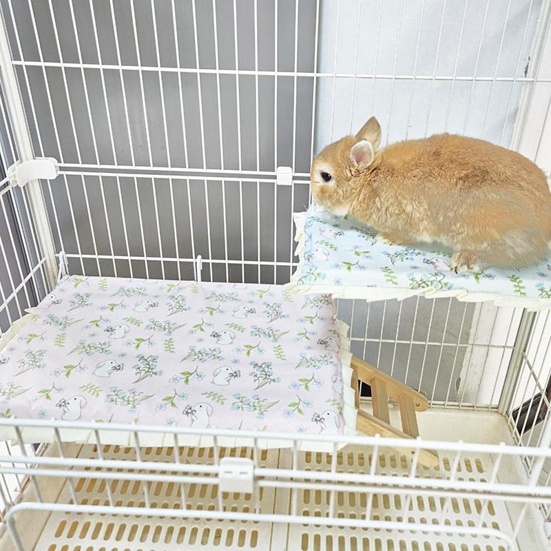 兔兔笼用挂床小宠猫咪跳板！侏儒兔休息台太香了！这波不冲亏麻了