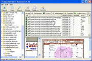 IECacheViewer1.58