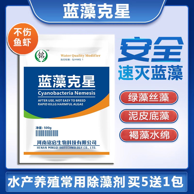 鱼塘池塘快速灭蓝藻杀绿丝藻清除青苔去除剂，绿水水质净化蓝藻立净，养鱼人的福音！