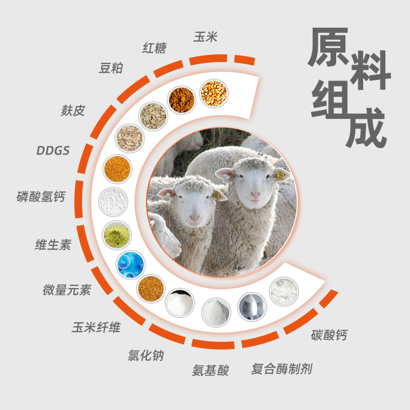 英美尔母羊专用饲料：助您轻松养出健康新生命！