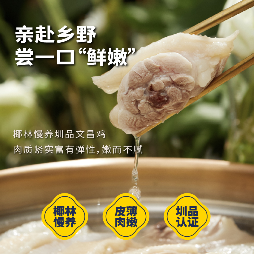 海南锅锅团：正宗文昌椰子鸡，带你体验热带风情的舌尖盛宴