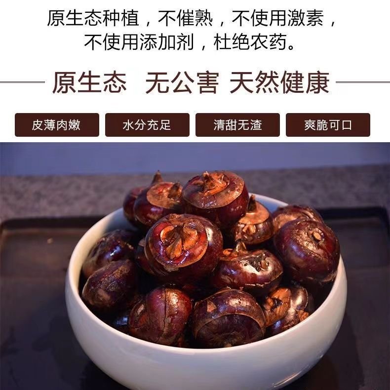 新鲜马蹄当季特惠，孕妇最爱的脆甜多汁小果，现挖直供，批发价抢购！