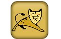 Apache Tomcat10.0.21 官方版