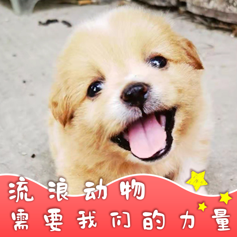 孕期新指南：揭秘五色妊娠风险筛查图，你了解多少？