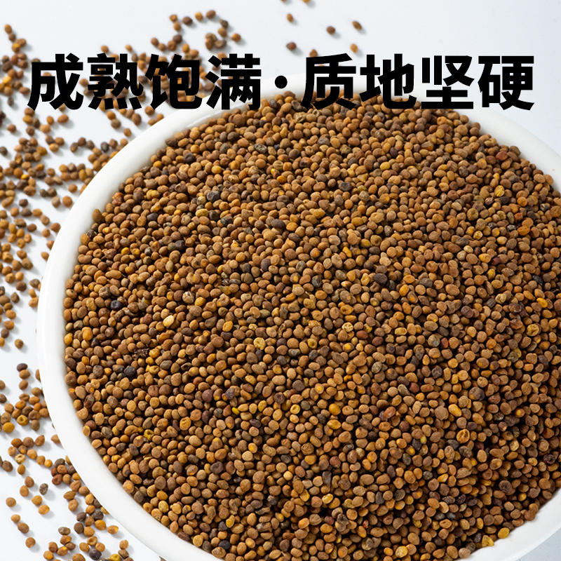 寻百草菟丝子：男性保健新宠，500g正品优选，泡茶好搭档