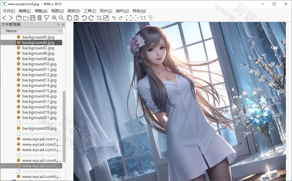免费开源的看图软件 | Nomacs v3.22.3 中文绿色便携版