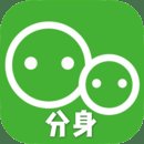 应用双开软件