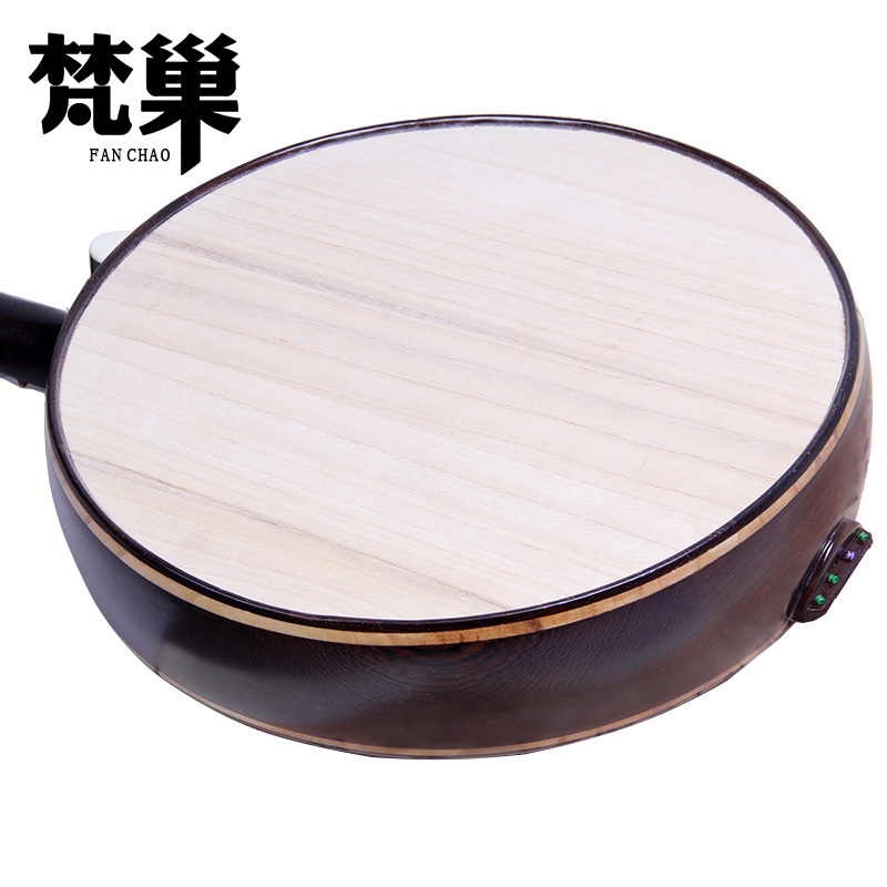 中阮初学者必看！VLINS Z03真的香到爆？新手也能轻松上手！