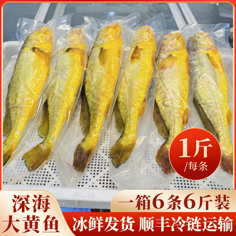 宁德大黄鱼2斤一条！鲜到掉眉毛！这波不冲真的亏大了