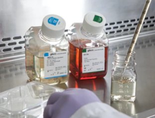 Gibco 10099141C澳洲胎牛血清：细胞培养的秘密武器，现货500ml，你还在等什么？
