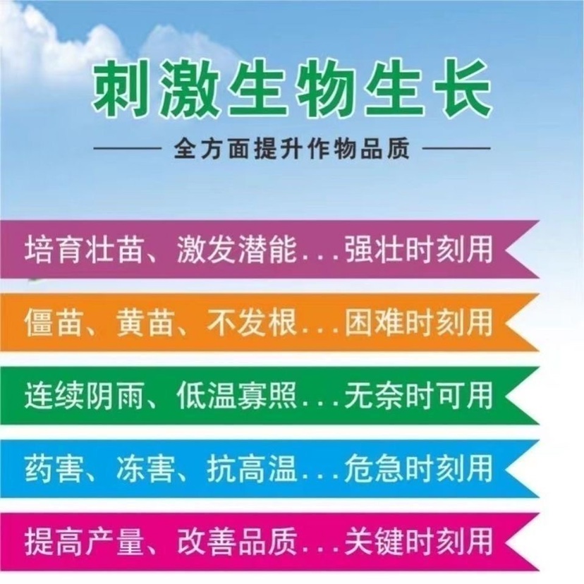 国标硫酸钾水溶肥：高效增产的秘密武器，让你的作物更加饱满甜美！