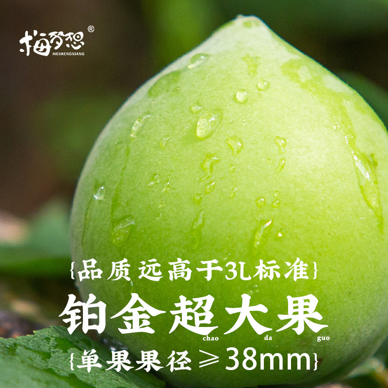 顺丰诏安高山胭脂梅：酸甜交织的味觉盛宴，泡酒养生两相宜！