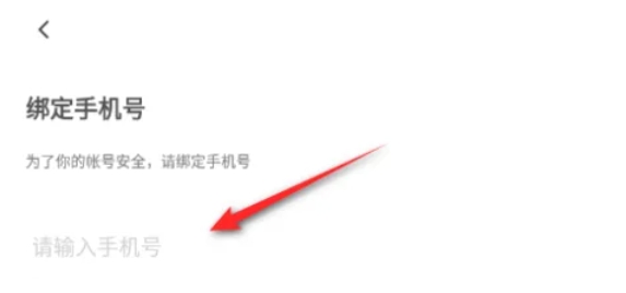 233乐园,233乐园最新下载