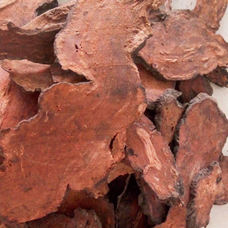 揭秘神奇中草药：红何首乌，解锁自然养生秘籍