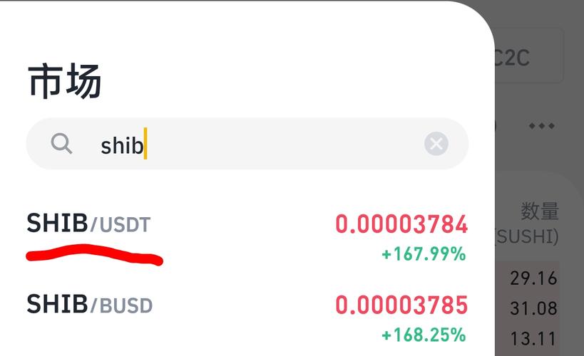 Can You Buy Shib with USDT?