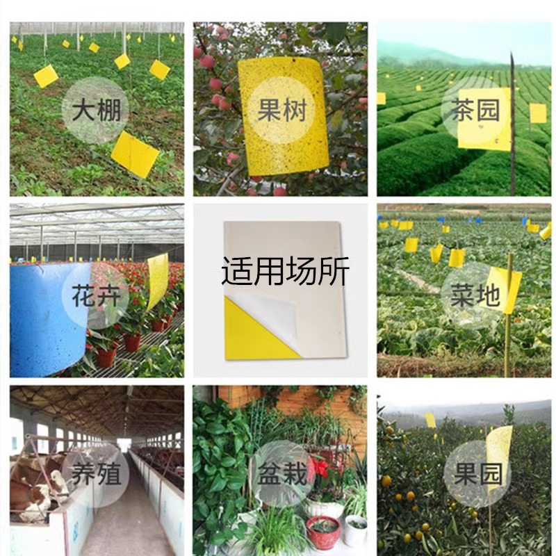 果园神器！黄蓝双面粘虫板，果蝇粉虱全搞定！这波不买真的亏大了
