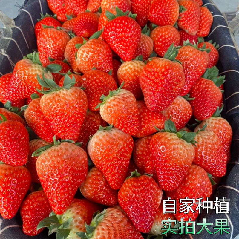草莓什么季节吃是应季？安徽的草莓最佳品尝时间