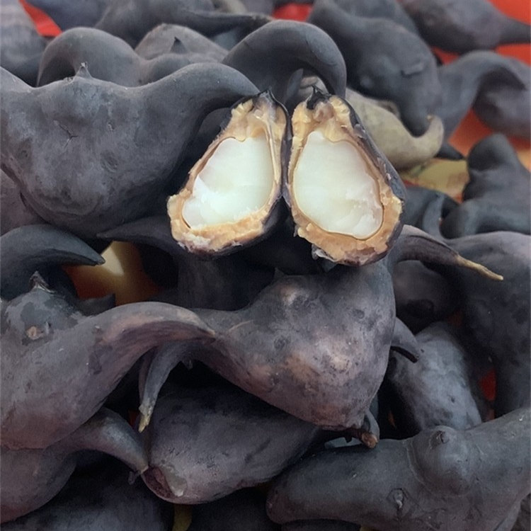 菱角大揭秘：新鲜生吃的乐趣，农家蔬菜里的粉糯时光！