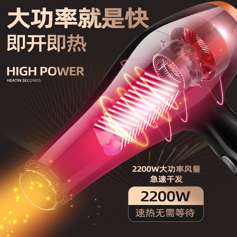 Professional Hair Dryer 1600W 220V Leafless Negative Ion: 快速干发的秘密武器！✨