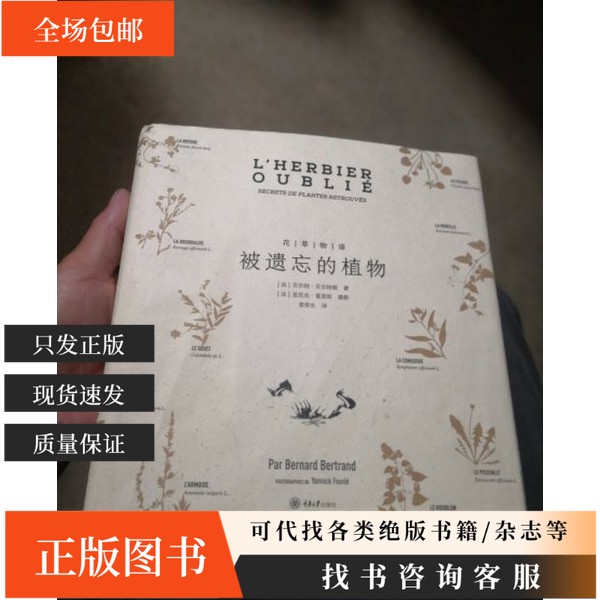 花草物语：被遗忘的植物，带你走进植物世界的秘密花园