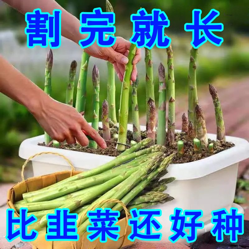 EMS空运芦笋：鲜嫩欲滴，尝鲜必备！