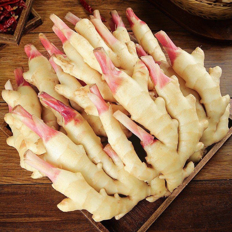 鲜红芽嫩姜：解锁美味的秘密武器，新鲜现挖生姜蔬菜，山东老仔姜块！