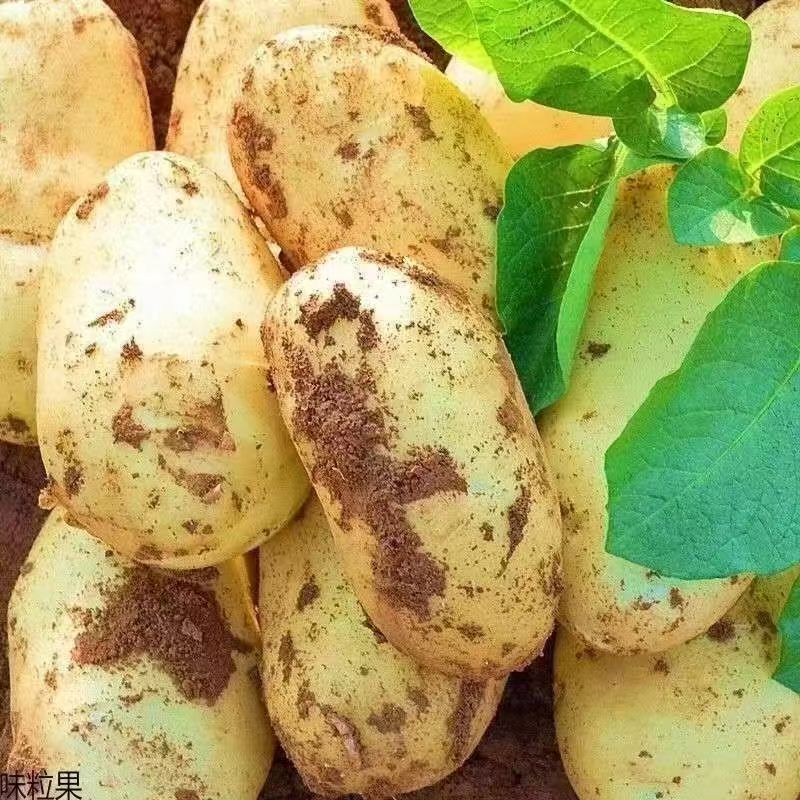 爱淘宝和淘宝，哪个才是你的菜？揭秘真相！