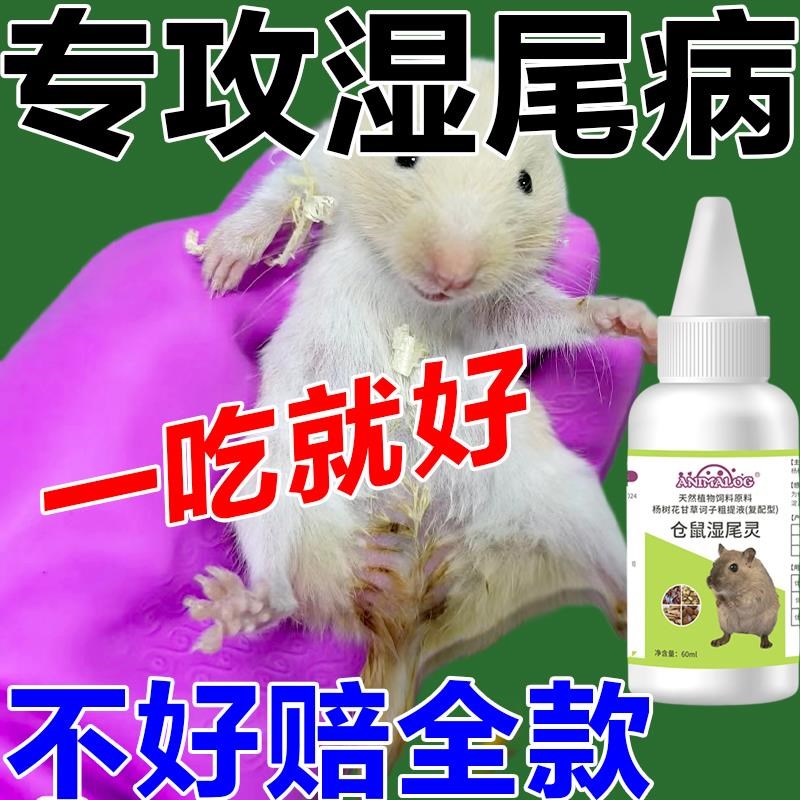 仓鼠急救必备！湿尾、拉稀、感冒全搞定！