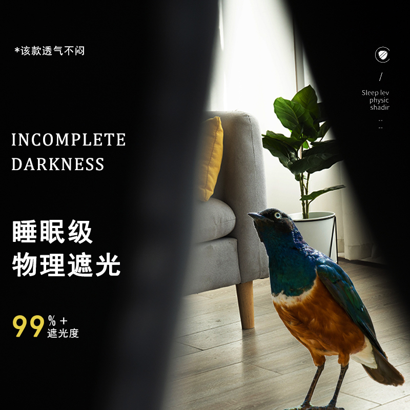 鹦鹉遮光笼罩：如何给你的萌宠打造完美的避风港？