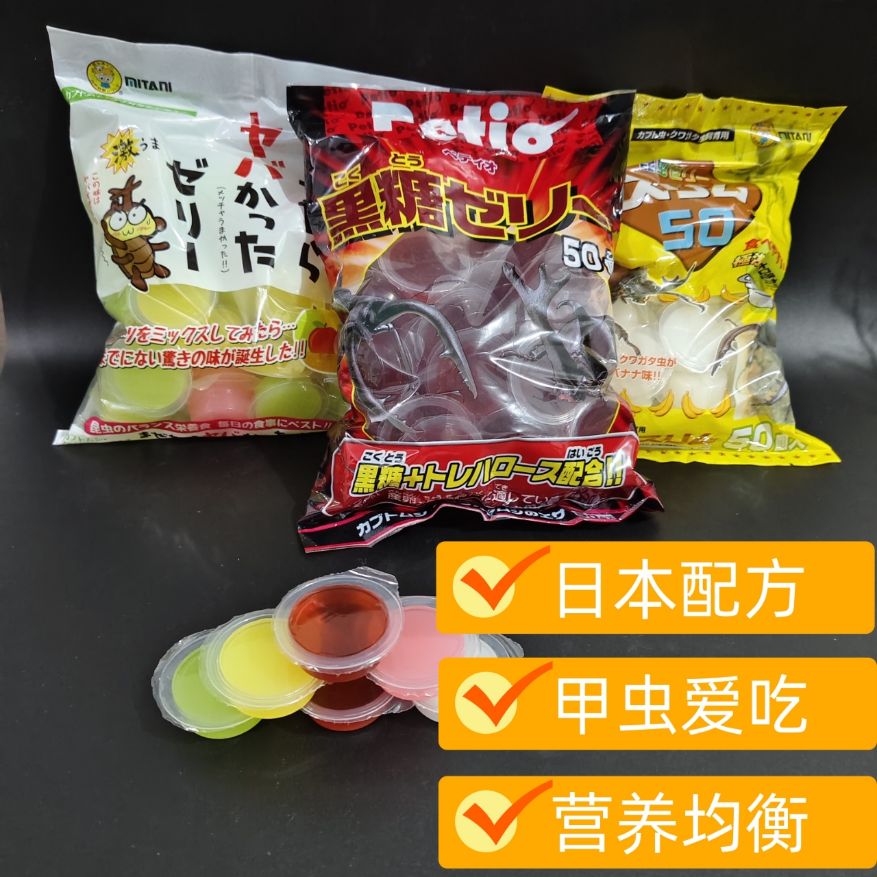 独角仙锹甲兜界的王者回归！斑马锯锹，你的新晋宠物伙伴！