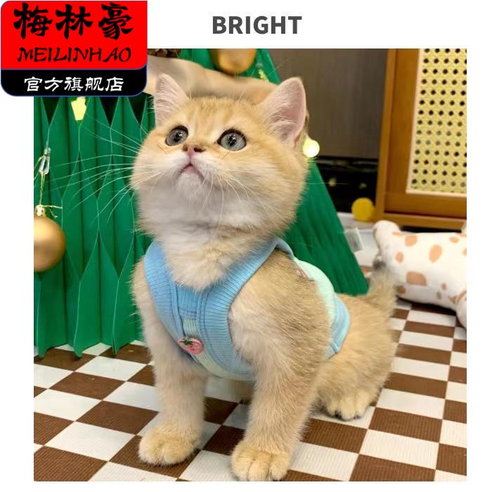宠物薄款背心防掉毛透气网红INS款，幼猫狗狗必备神器！